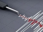 Indonesia Earthquake: The quake was about 19 km (11.81 miles)south southeast of Meulaboh in Indonesia.