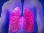 According to Ayurveda, lung is the reservoir of Prana Vaha Srotas, or channel of breathing.(Pixabay) According to Ayurveda, lung is the reservoir of Prana Vaha Srotas, or channel of breathing.(Pixabay)