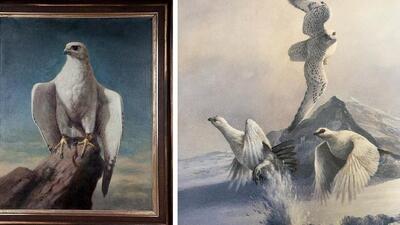 Renz Waller’s painting of Herman Goering’s Gyrfalcon curated by the Falconry Heritage Trust; Andrew Ellis’ artwork of Gyrfalcon on hunt in the high Arctic. (HT File) Renz Waller’s painting of Herman Goering’s Gyrfalcon curated by the Falconry Heritage Trust; Andrew Ellis’ artwork of Gyrfalcon on hunt in the high Arctic. (HT File)