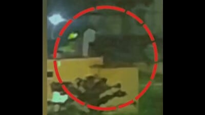 A screen grab taken from the video (Sourced)
