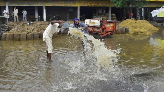 A labourer struggling to save sacks of paddy from damage in the waterlogged Bhagtanwala Grain Market in Amritsar district after rain on Saturday. (Sameer Sehgal/HT)