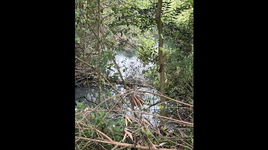 Leaks in storm water drain are causing health hazards, complain Parsik Hill residents. (HT PHOTO)