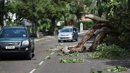 Hurricane Fiona In Canada: Vehicles drive around trees felled by Hurricane Fiona.