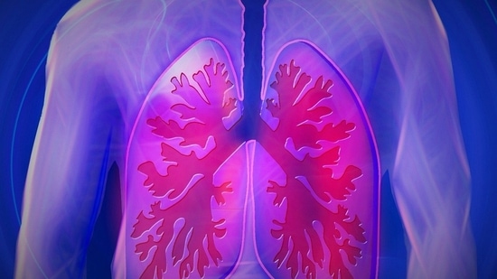 According to Ayurveda, lung is the reservoir of Prana Vaha Srotas, or channel of breathing.(Pixabay)