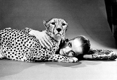 Iconic photo by Franco Rubartelli of the German supermodel, Countess Vera Gräfin von Lehndorff-Steinort ‘Veruschka’, with a Cheetah. Iconic photo by Franco Rubartelli of the German supermodel, Countess Vera Gräfin von Lehndorff-Steinort ‘Veruschka’, with a Cheetah.