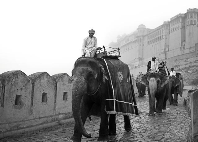 Amer Fort, Rajasthan Amer Fort, Rajasthan