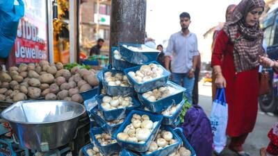Mushroom production has registered a substantial increase in Jammu and Kashmir and it is expected to catch up fast with the demand for the food product in Jammu and Kashmir. (HT Photo) Mushroom production has registered a substantial increase in Jammu and Kashmir and it is expected to catch up fast with the demand for the food product in Jammu and Kashmir. (HT Photo)