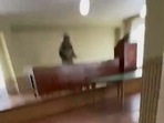 Russia-Ukraine War: The gunman is seen identifying himself to police officers in a video. Russia-Ukraine War: The gunman is seen identifying himself to police officers in a video.