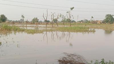 When asked about the matter, Gurugram deputy commissioner Nishant Yadav said that the farmers should report the losses caused to their crops within 72 hours on the e-fasal shatipurti portal, launched by the state government to provide fair and transparent compensation to farmers. (HT Photo)