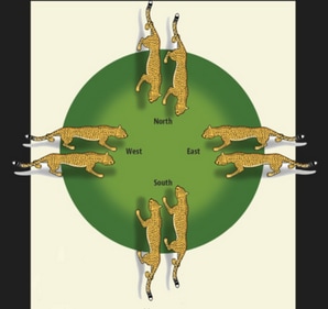 Puzzle 5.1