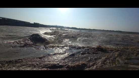 Haryana, Delhi on ‘high flood’ alert as Yamuna river breaches danger mark