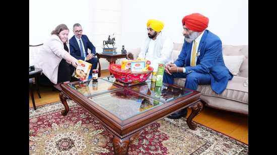 Mann said that it is a matter of pride that a large number of Punjabis have also carved a niche for themselves in the political arena of Canada . (HT photo)