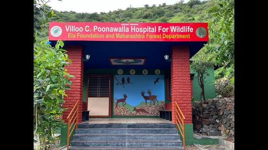 In a bid to provide timely, state-of-the-art health care to sick, injured and rescued wild animals, a new animal transit centre named the ‘Viloo C Poonawalla Hospital for Wildlife’ will be inaugurated at Ela habitat, Pingori (HT PHOTO)