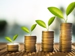 It is easy to get carried away and go overboard with your festival expenses. It is easy to get carried away and go overboard with your festival expenses.