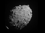 The target ‘Dimorphos’ is a moonlet of Didymos, Greek for twin, a fast-spinning asteroid five times bigger that flung off the material that formed the junior partner.(NASA)