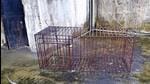 The animal cage recovered from the terrace of the Vanantara resort owned by now-expelled BJP leader Vinod Arya’s son Pulkit Arya, the prime accused in the receptionist murder case. The animal cage recovered from the terrace of the Vanantara resort owned by now-expelled BJP leader Vinod Arya’s son Pulkit Arya, the prime accused in the receptionist murder case.