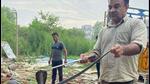 Anil Gandas, a city-based wildlife enthusiast and snake rescuer involved in thousands of rescues since 2011, said this is the first time he has had to rescue over 60 snakes from developing sectors on Dwarka Expressway. (HT Photo) Anil Gandas, a city-based wildlife enthusiast and snake rescuer involved in thousands of rescues since 2011, said this is the first time he has had to rescue over 60 snakes from developing sectors on Dwarka Expressway. (HT Photo)