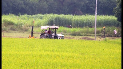 A farmer tending to his fields on the outskirts of Mohali in the sunny weather. Chandigarh’s maximum temperature went up from 30.9°C on Monday to 32.1°C on Tuesday. (Sanjeev Sharma/HT)
