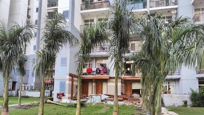 Omaxe residents protest after trees planted again near Tyagi’s house in Noida Omaxe residents protest after trees planted again near Tyagi’s house in Noida