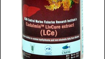 As part of its ongoing research into medicinal properties of seaweed, Kochi-based Central Marine Fisheries Research Institute (CMFRI) has come up with a nutraceutical product to treat non-alcoholic fatty liver disease. (HT) As part of its ongoing research into medicinal properties of seaweed, Kochi-based Central Marine Fisheries Research Institute (CMFRI) has come up with a nutraceutical product to treat non-alcoholic fatty liver disease. (HT)