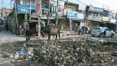 Garbage dumped on roads by the Manesar NH 48 main bus stand due to strike by MCM workers. (HT Photo) Garbage dumped on roads by the Manesar NH 48 main bus stand due to strike by MCM workers. (HT Photo)