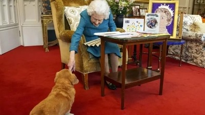Queen Elizabeth II: Queen Elizabeth II had two Corgis, Muick and Sandy. (AFP) Queen Elizabeth II: Queen Elizabeth II had two Corgis, Muick and Sandy. (AFP)