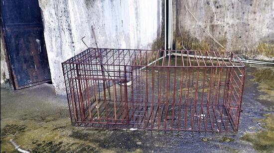 The animal cage recovered from the terrace of the Vanantara resort owned by now-expelled BJP leader Vinod Arya’s son Pulkit Arya, the prime accused in the receptionist murder case. The animal cage recovered from the terrace of the Vanantara resort owned by now-expelled BJP leader Vinod Arya’s son Pulkit Arya, the prime accused in the receptionist murder case.