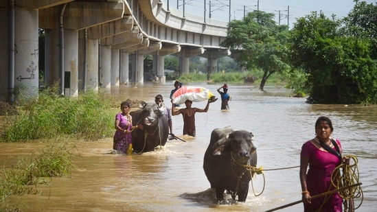 People residing in low-lying areas near the banks of the river Yamuna in Delhi are being relocated to higher grounds as the water mark has reached much above the danger mark of 205.33 metres.(PTI)
