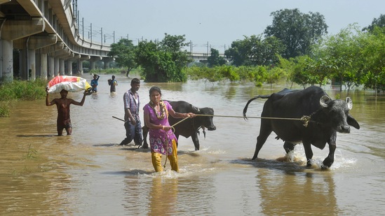 East Delhi District Magistrate Anil Banka said the evacuation alert was issued Tuesday morning after the water level crosses the 206-metre mark.(PTI)