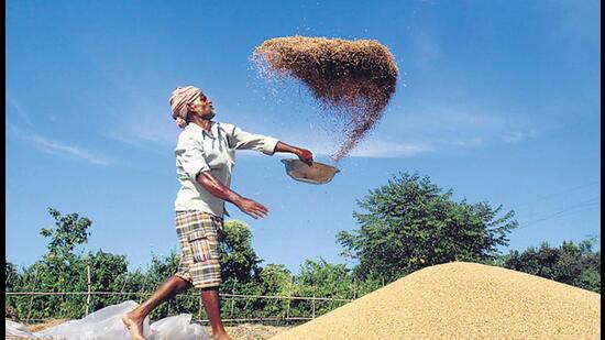 The Consortium of Indian Farmers’ Association (CIFA) on Tuesday called for adoption of a farmer-centric agenda by political parties, especially opposition parties which are planning for a non-BJP alliance at the national level. (Reuters File) The Consortium of Indian Farmers’ Association (CIFA) on Tuesday called for adoption of a farmer-centric agenda by political parties, especially opposition parties which are planning for a non-BJP alliance at the national level. (Reuters File)