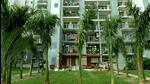 Noida, India - September 28, 2022: A view inside Grand Omaxe society where Shrikant Tyagi's wife got 15 large trees replanted, in Noida, India, on Wednesday, September 28, 2022. (Photo by Sunil Ghosh / Hindustan Times) (Hindustan Times) Noida, India - September 28, 2022: A view inside Grand Omaxe society where Shrikant Tyagi's wife got 15 large trees replanted, in Noida, India, on Wednesday, September 28, 2022. (Photo by Sunil Ghosh / Hindustan Times) (Hindustan Times)