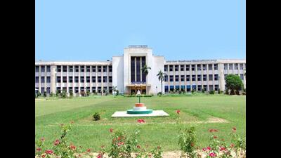 ANE fever gripped the medical college campus within four days of more than 20 pigs being found dead. (Pic for representation) ANE fever gripped the medical college campus within four days of more than 20 pigs being found dead. (Pic for representation)
