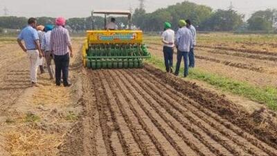 Direct seeding of rice (DSR) method, which requires comparatively less irrigation, is being promoted by the Punjab government with an aim to check groundwater depletion. (HT File) Direct seeding of rice (DSR) method, which requires comparatively less irrigation, is being promoted by the Punjab government with an aim to check groundwater depletion. (HT File)