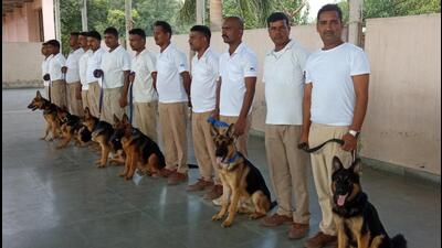 Ilu (extreme right) and the five canines, who are being trained to protect wildlife at different national parks, sanctuaries and wildlife reserves, with their trainers at ITBP’s National Training Centre for Dogs and Animals in Bhanu, Panchkula. (SANT ARORA/HT) Ilu (extreme right) and the five canines, who are being trained to protect wildlife at different national parks, sanctuaries and wildlife reserves, with their trainers at ITBP’s National Training Centre for Dogs and Animals in Bhanu, Panchkula. (SANT ARORA/HT)