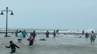 The National Hurricane Center in Miami said Wednesday at 12:30 p.m. that a storm surge warning has been issued for the Lower Florida Keys. The storm is moving toward the north-northeast about 100 miles (160 kilometres) southwest of Naples, Florida. Maximum winds are about 120 mph (193 kph) with higher gusts. (REUTERS)