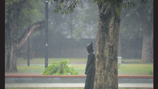 As per Delhi government data, of the 5,296 trees transplanted in 2021-22, only 1,965 are still alive. (Hindustan Times) As per Delhi government data, of the 5,296 trees transplanted in 2021-22, only 1,965 are still alive. (Hindustan Times)