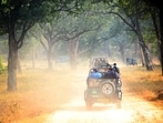 Haryana will build the largest safari outside Africa on more than 10,000 acres