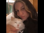 This cat showcases the five love languages.&nbsp;