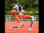 Cassie the robot that created a Guinness World Record by running the fastest 100 metres. (Oregon State University) Cassie the robot that created a Guinness World Record by running the fastest 100 metres. (Oregon State University)