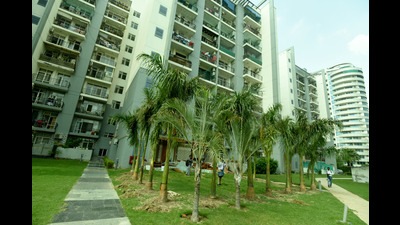 Shrikant Tyagi’s family members planted around 15 large palm trees in front of their house on Tuesday afternoon, even as Noida police and authority officials looked on. (HT Photo) Shrikant Tyagi’s family members planted around 15 large palm trees in front of their house on Tuesday afternoon, even as Noida police and authority officials looked on. (HT Photo)