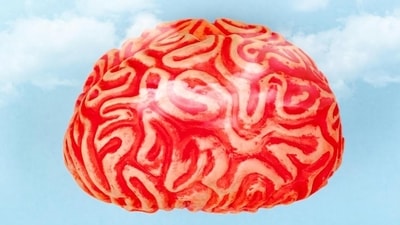 We call it 'the' brain. But is it a female or male brain? (Antonio Gravante/dpa/picture alliance) We call it 'the' brain. But is it a female or male brain? (Antonio Gravante/dpa/picture alliance)