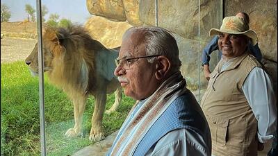 CM Manohar Khattar is on a visit to the United Arab Emirates (UAE) with union environment minister Bhupender Yadav. They spent time at the Sharjah Safari Park on Thursday. (PTI)