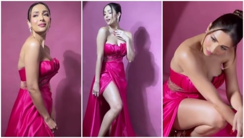Malaika Arora wears a strapless pink thigh-high slit gown for a photoshoot. (Instagram) Malaika Arora wears a strapless pink thigh-high slit gown for a photoshoot. (Instagram)