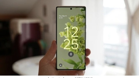 There are many Google phones that you can buy in India. They're renowned for their features, camera, and so on. (Shutterstock)