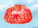 What happens in brain when it becomes too hot?(Antonio Gravante/dpa/picture alliance) What happens in brain when it becomes too hot?(Antonio Gravante/dpa/picture alliance)