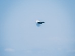 Supersonic jets produce intense noise due to sonic boom. (Representational Image/ Photo by Peter Mizsak on Unsplash) Supersonic jets produce intense noise due to sonic boom. (Representational Image/ Photo by Peter Mizsak on Unsplash)