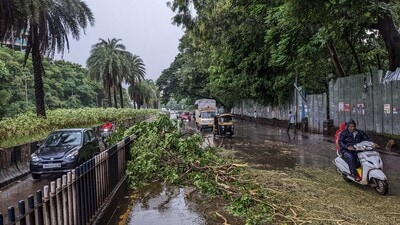 A tree fell on Ahmednagar Road, Shastrinagar due to heavy rain in Pune on Friday. (Shankar Narayan/HT PHOTO)