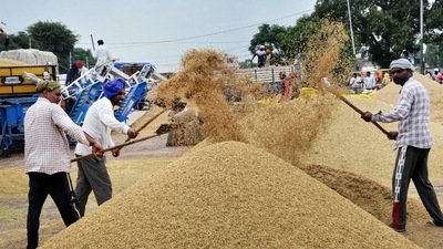 The Centre could save up to ₹4,000 crore annually by restricting local levies to 2% of the procured quantity. (PTI) The Centre could save up to ₹4,000 crore annually by restricting local levies to 2% of the procured quantity. (PTI)