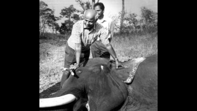 The real elephant doctor: Dr V Krishnamurthy (ANI) The real elephant doctor: Dr V Krishnamurthy (ANI)