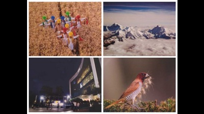 Some of the photo artists’ works that are on display at the exhibition (HT Photos) Some of the photo artists’ works that are on display at the exhibition (HT Photos)